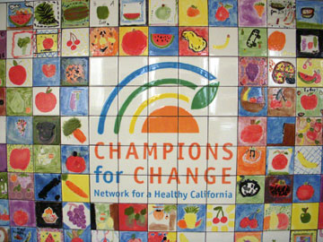 CHAMPIONS FOR CHANGE LOGO